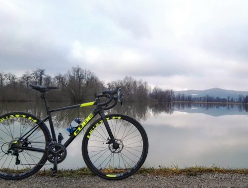 poplavljeno ljubljansko barje